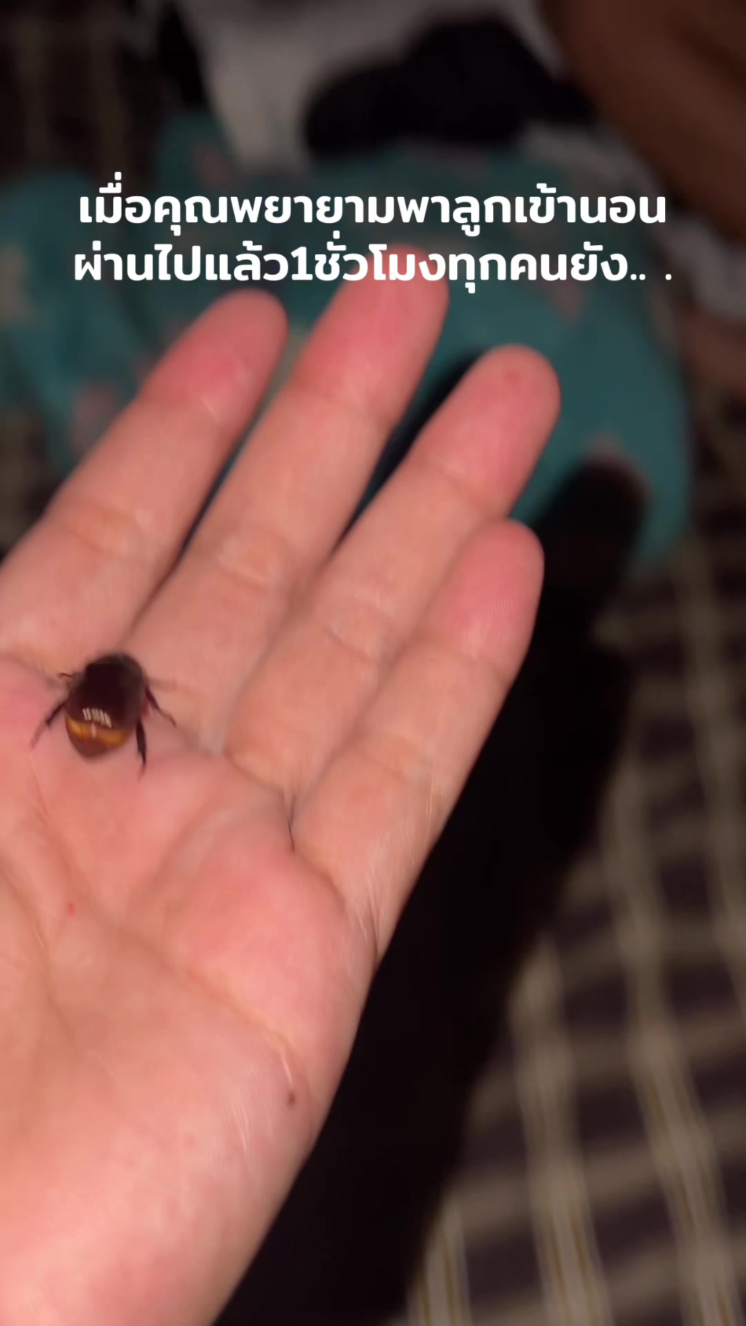 @nannietyl