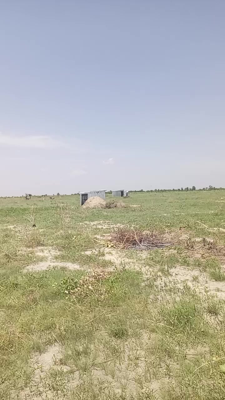 @Musa Nasiru