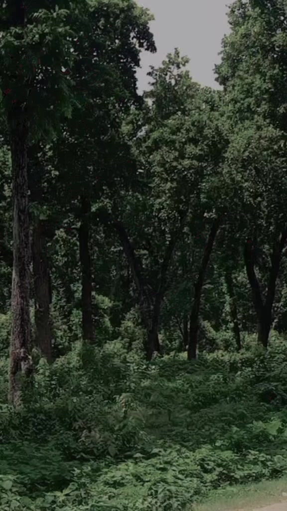 @Ɇ&alpha;gℓєɱƛꋊ✰🦅☠️🦴