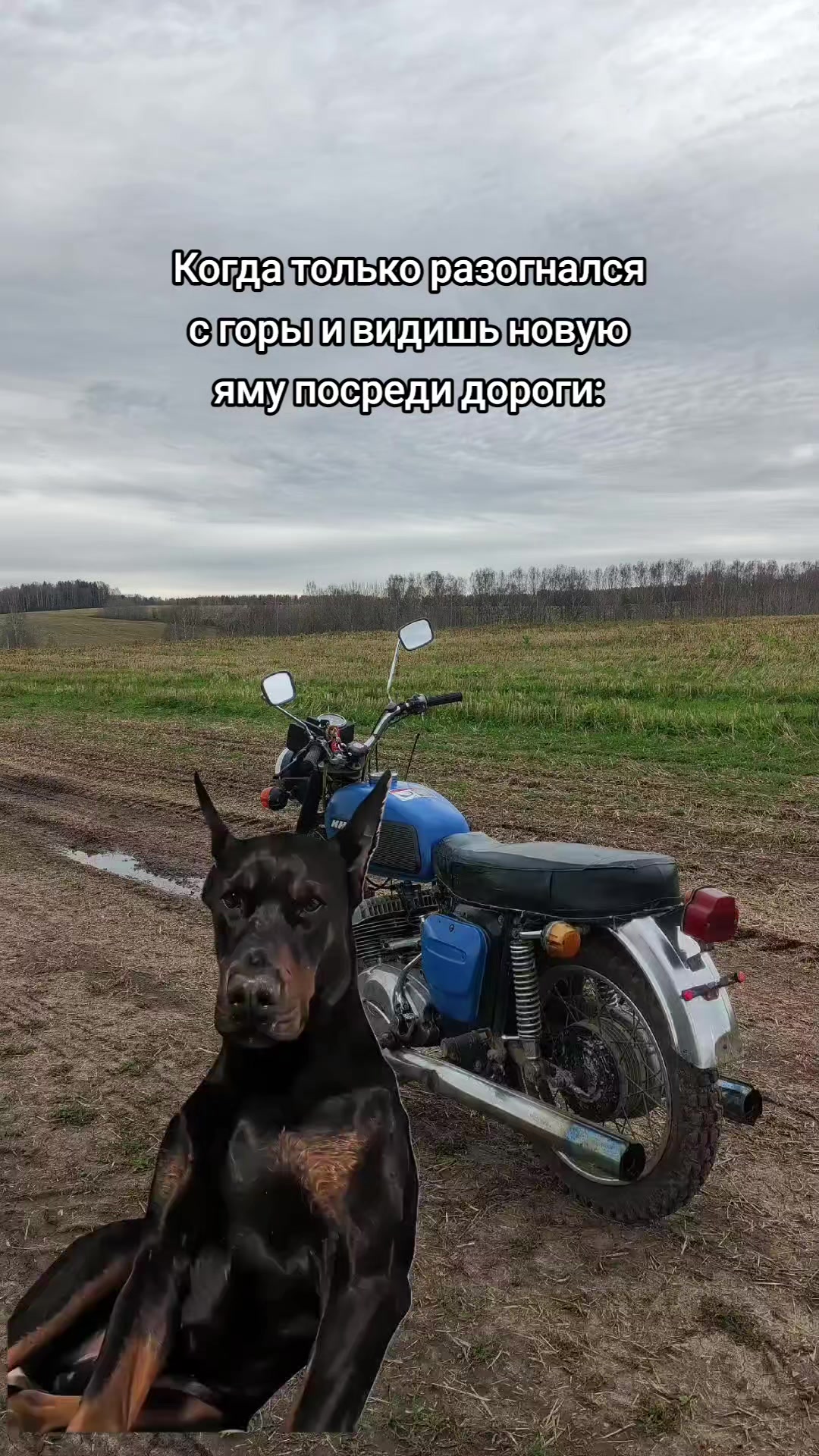 @⚜️Jupiter_159rus⚜️