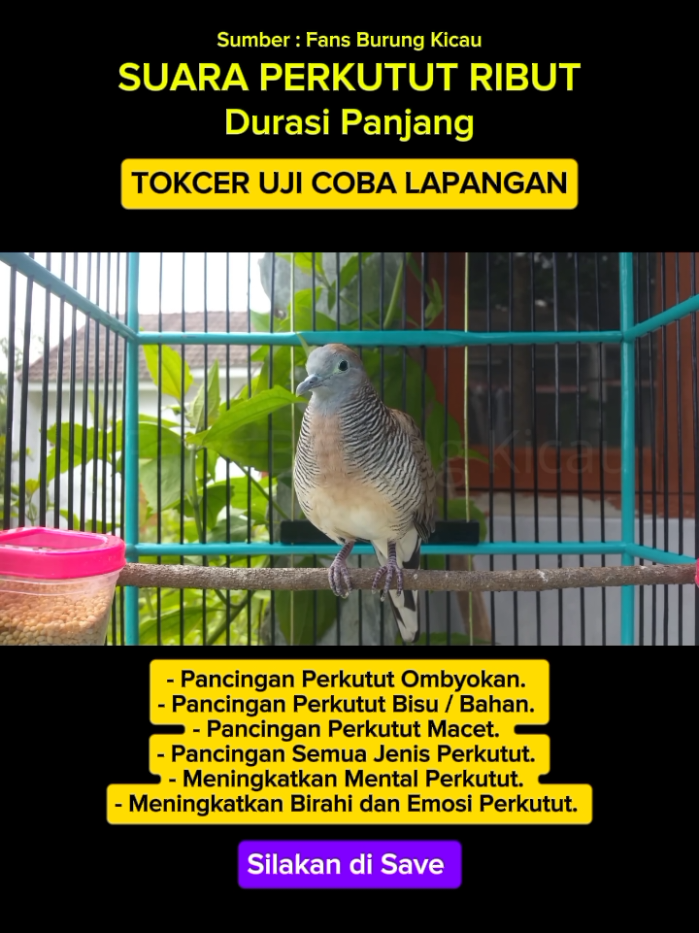 @Bintang Kecil