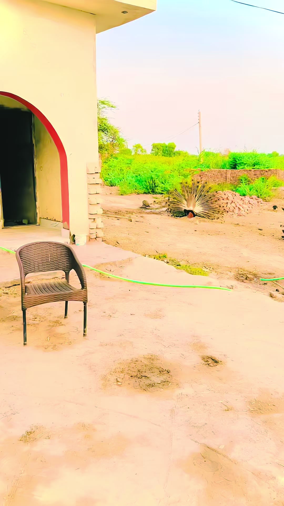 @Badar Wattoo