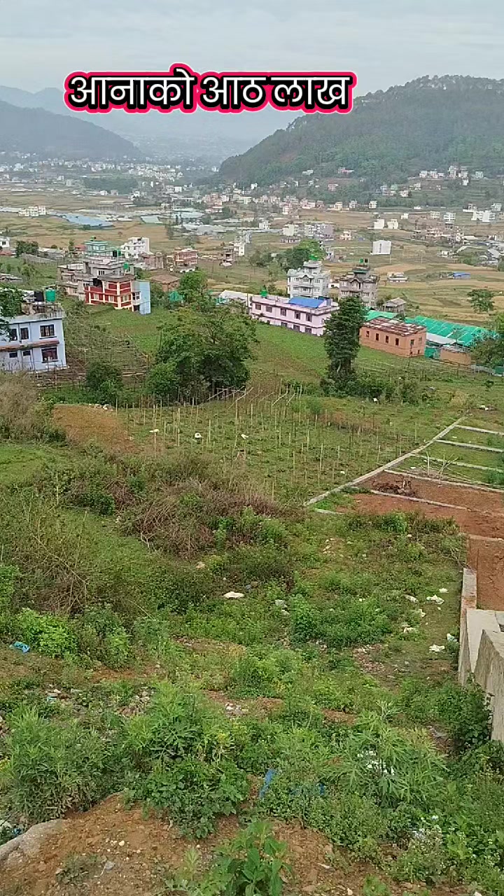 @गोदावरी घर जग्गा कारोबार