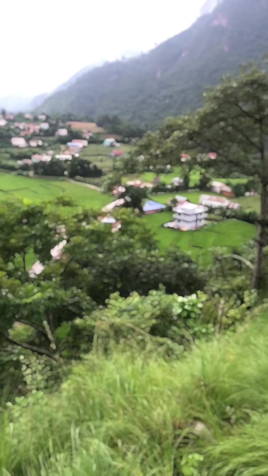 @damodarparajuli84