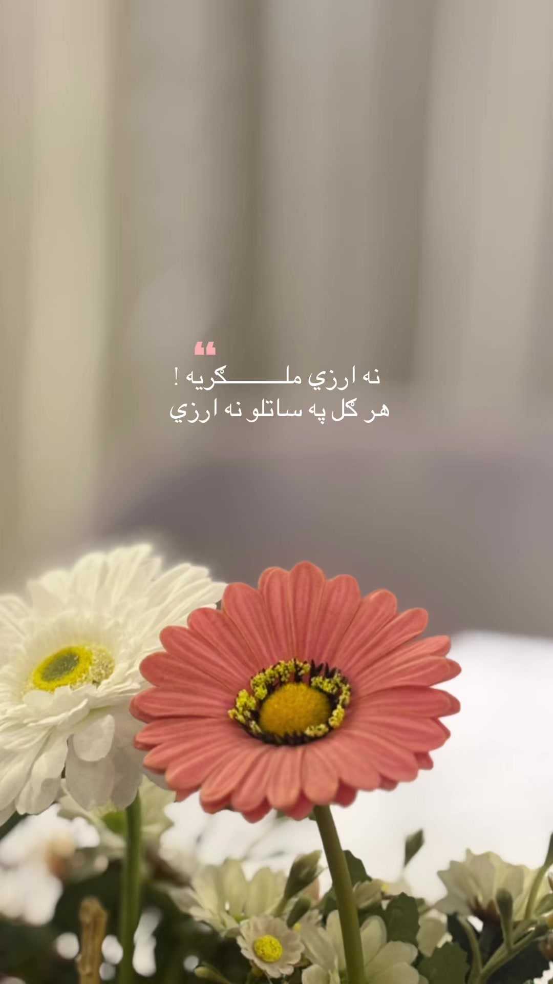 @خــالد🫀
