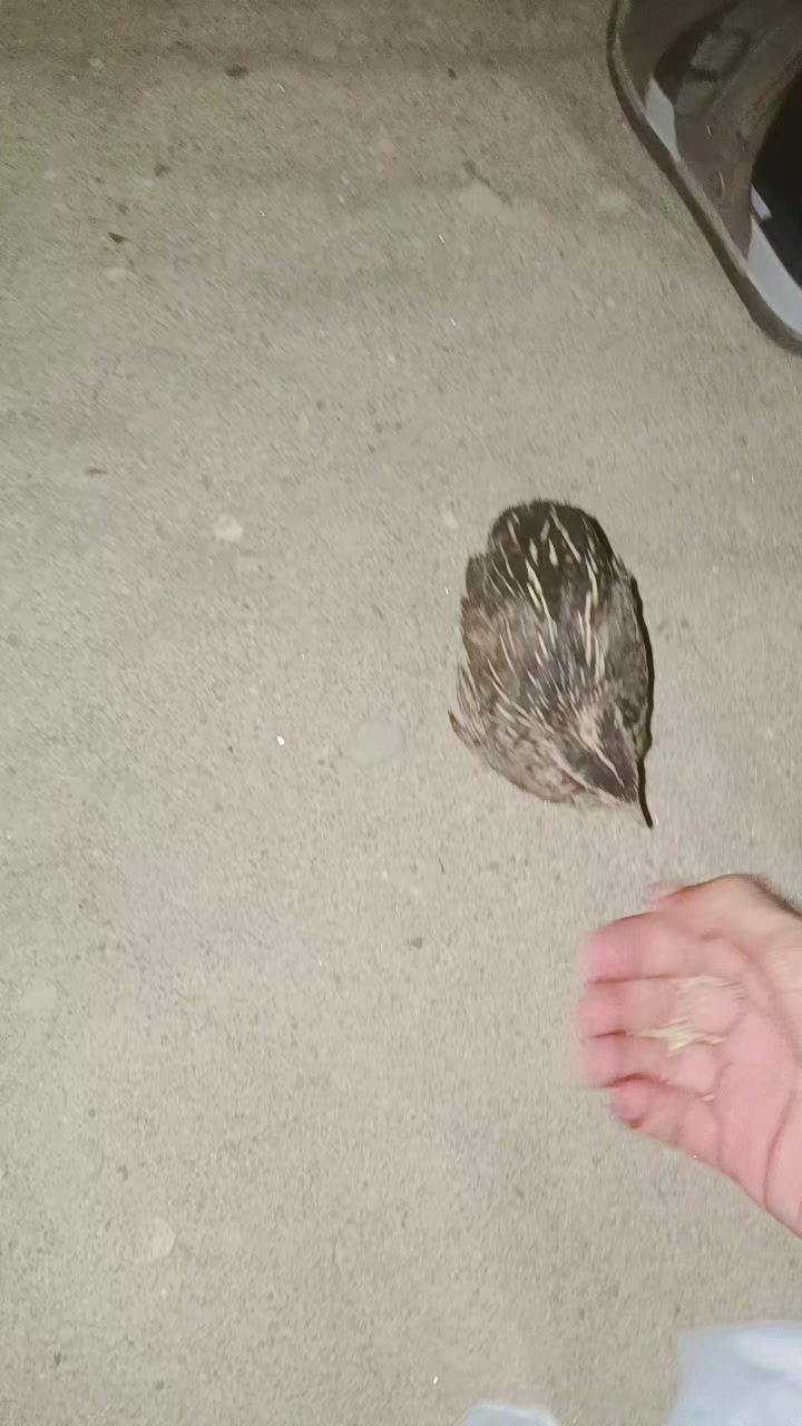 @2 مخ عی خلگ💔