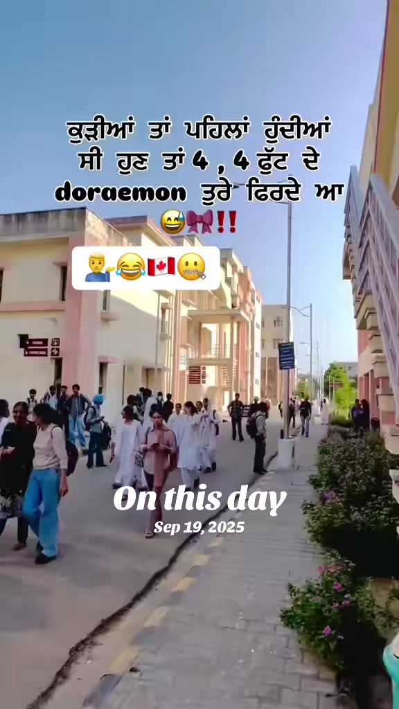 @vehlijanta761