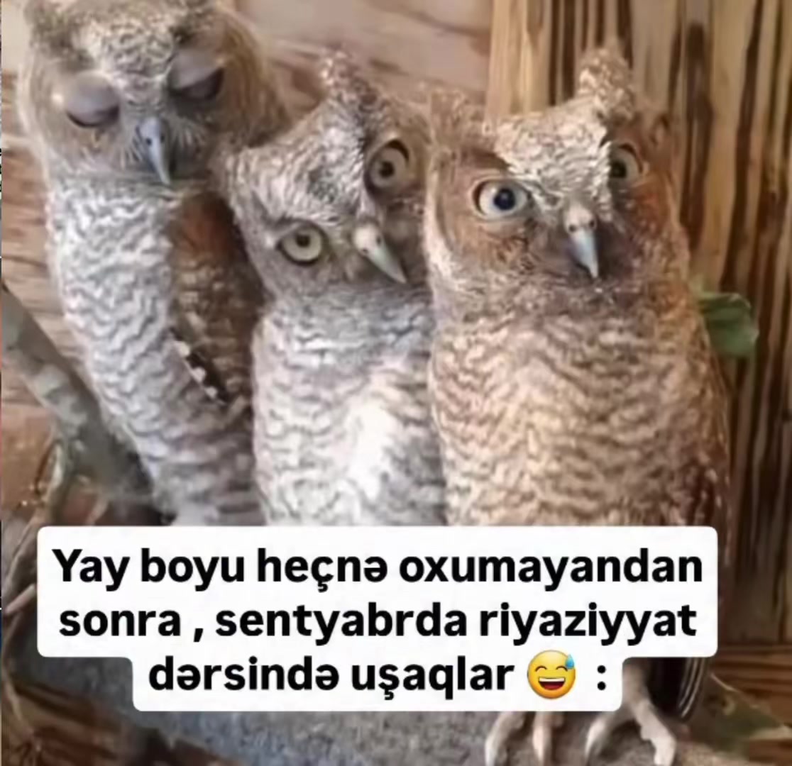 @Math.Khanim.Asad21