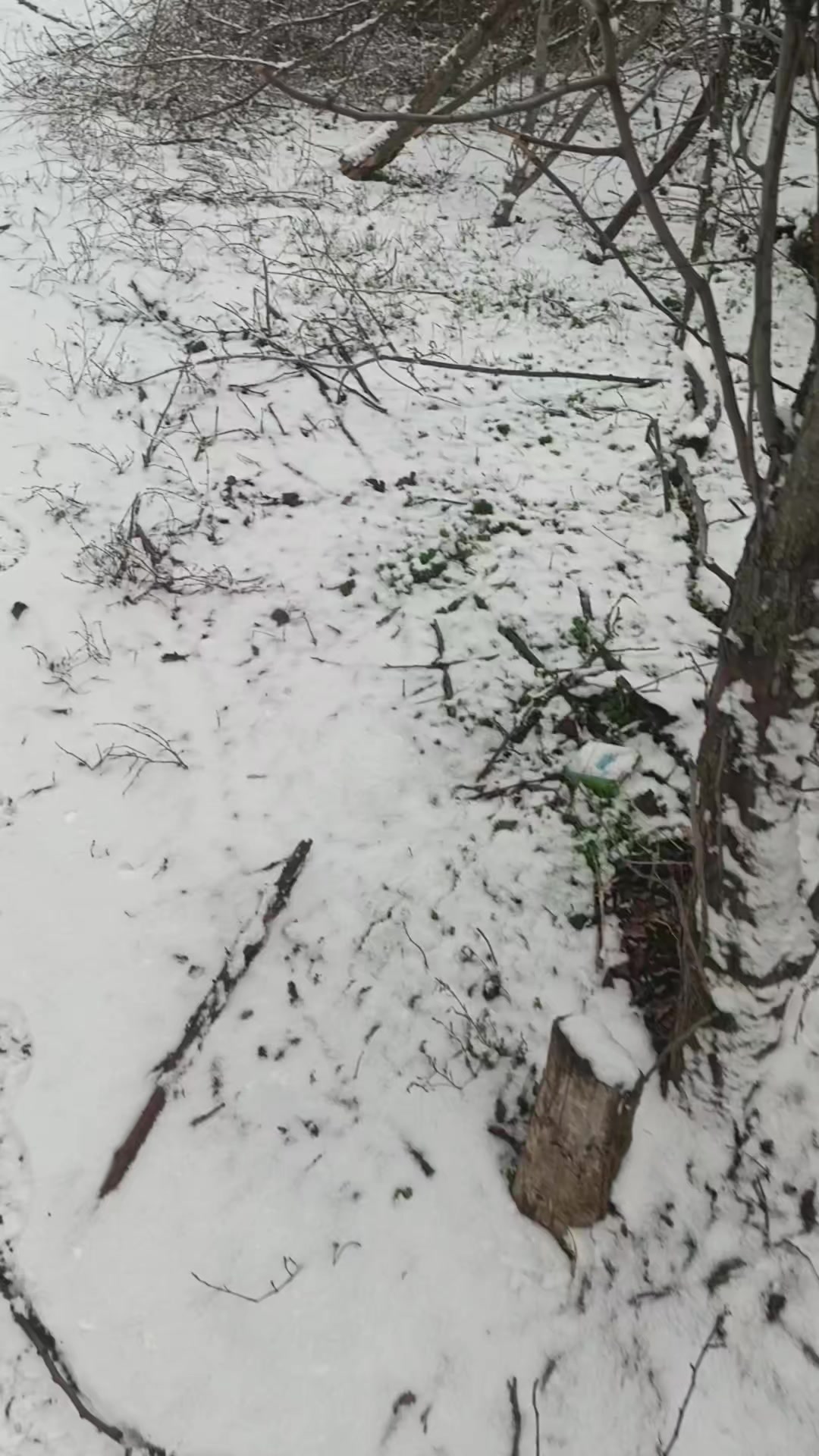 @ПоЛоЖеНеЦ