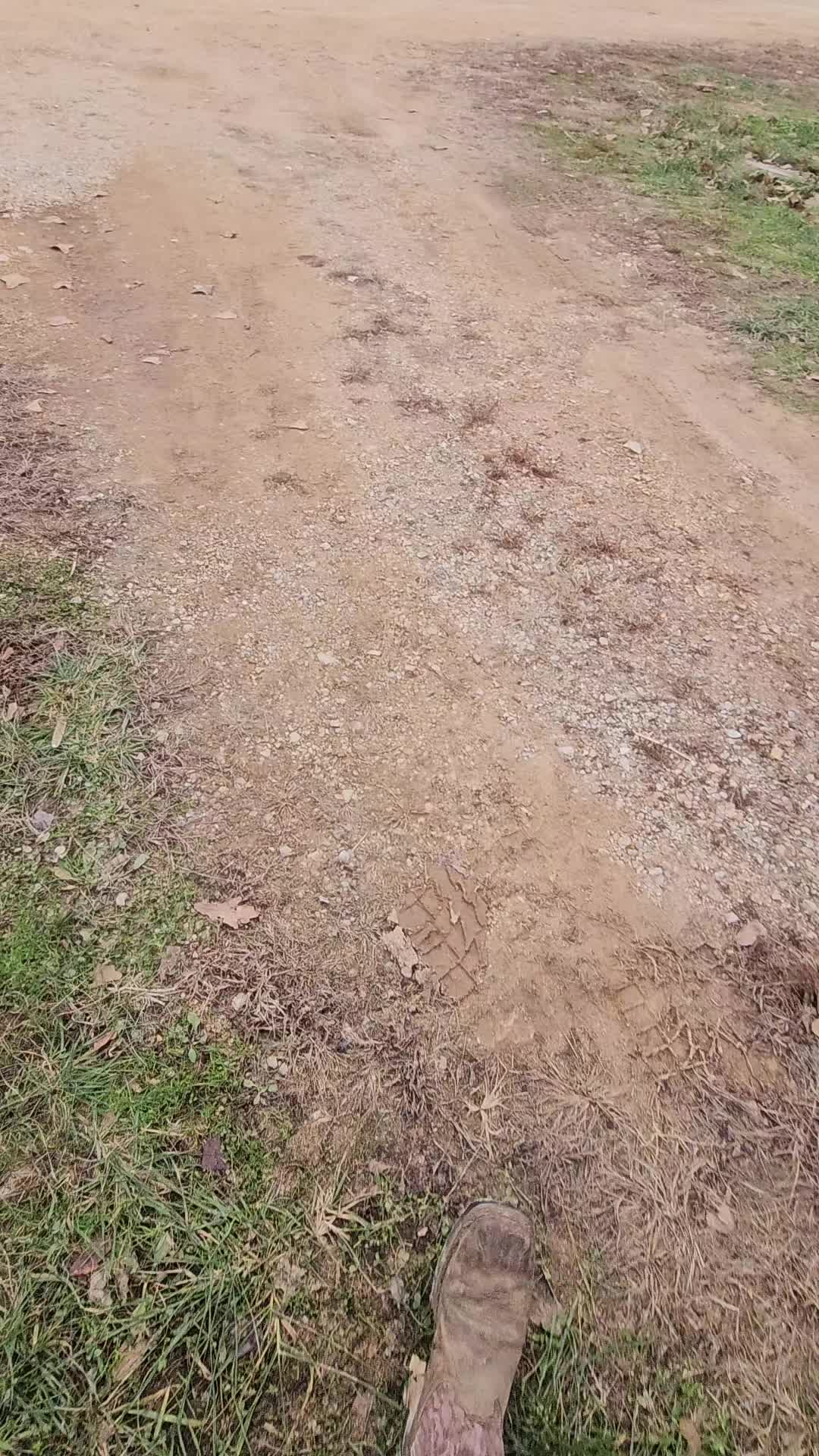 @77Ranch