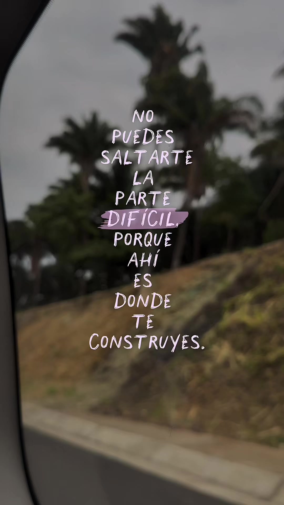 @Cecilia Gonzalez