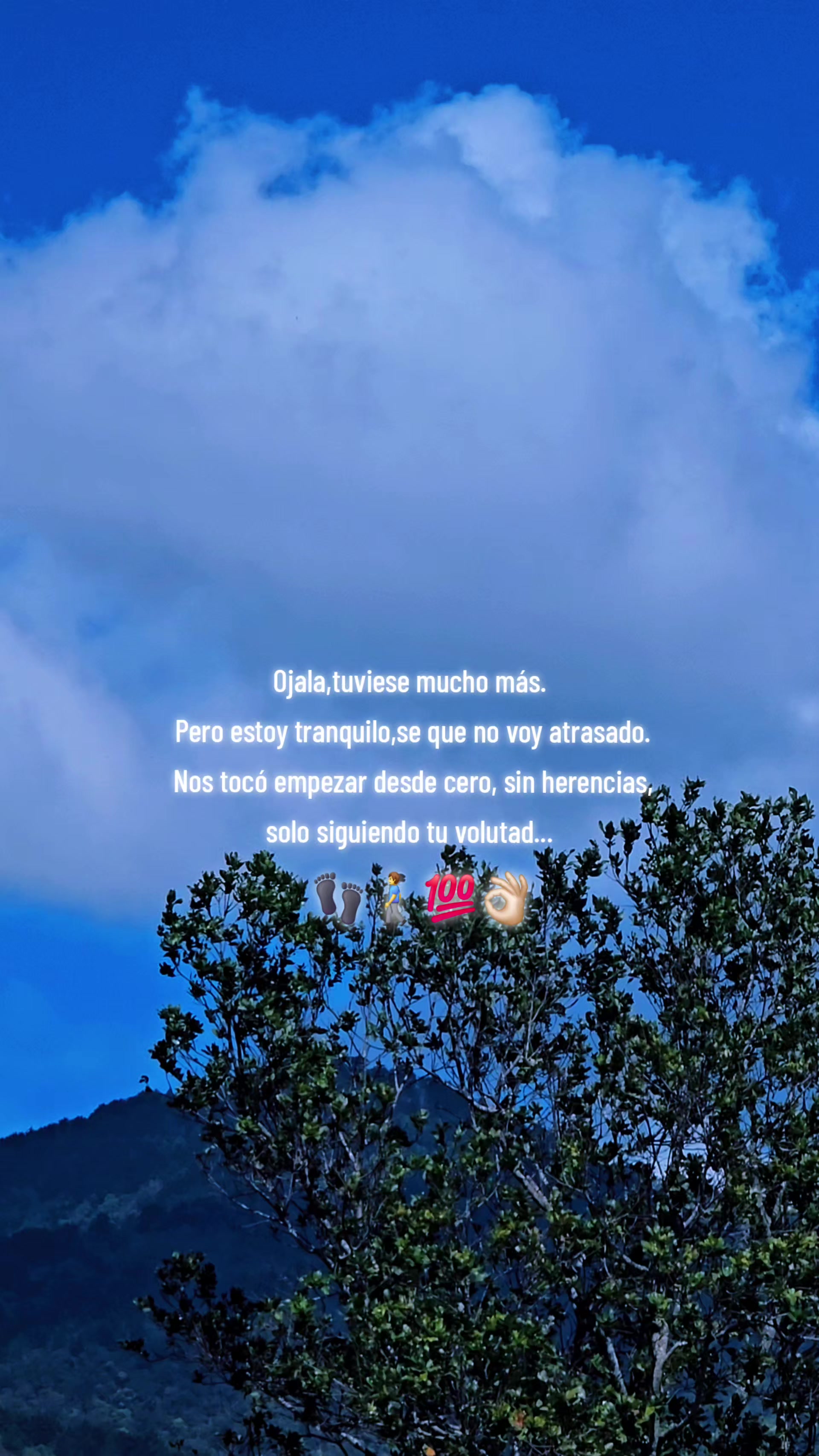 @LDeras 🇸🇻