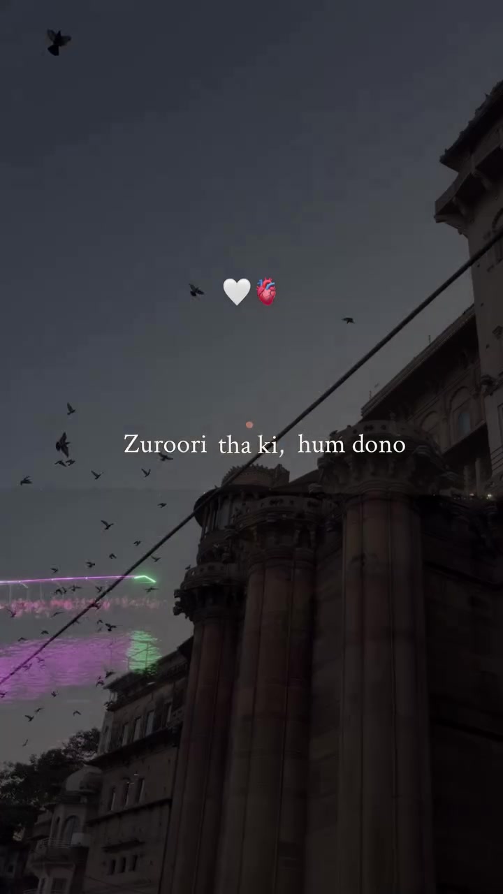 @B7F乛حسيب