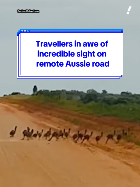 @Yahoo Australia