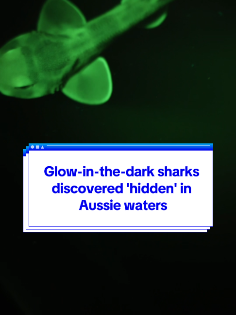 @Yahoo Australia