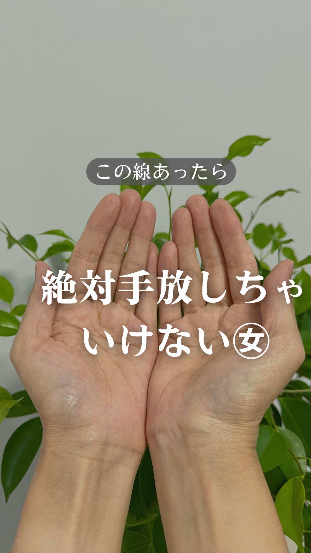 @shizue_tesou
