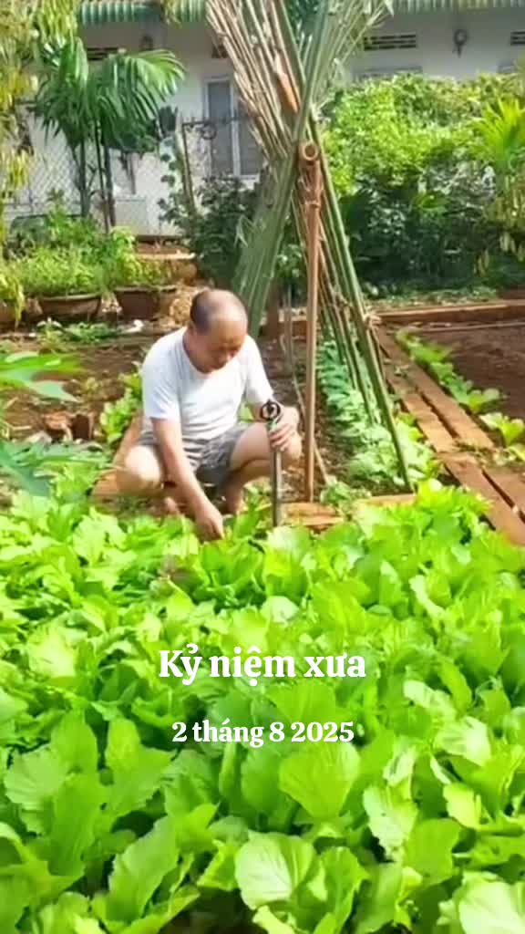 @Hữu.Nguyên 57