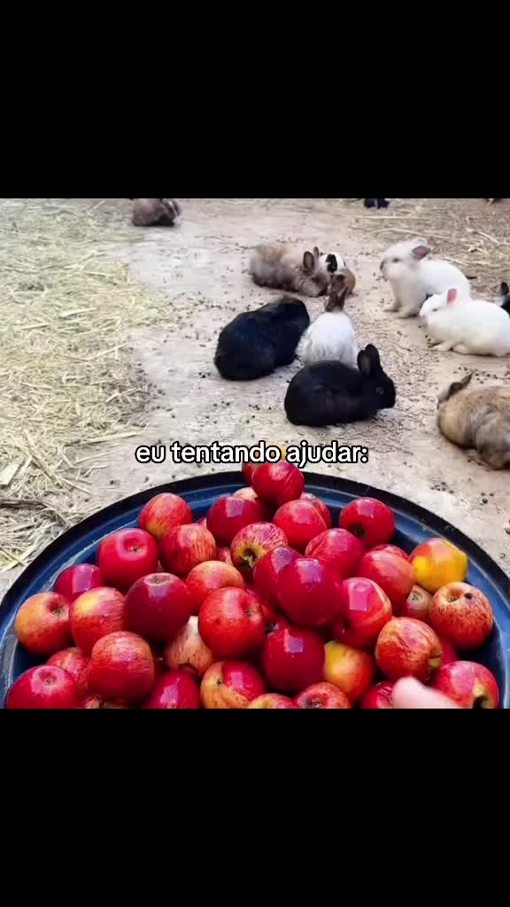 @Just ⚢