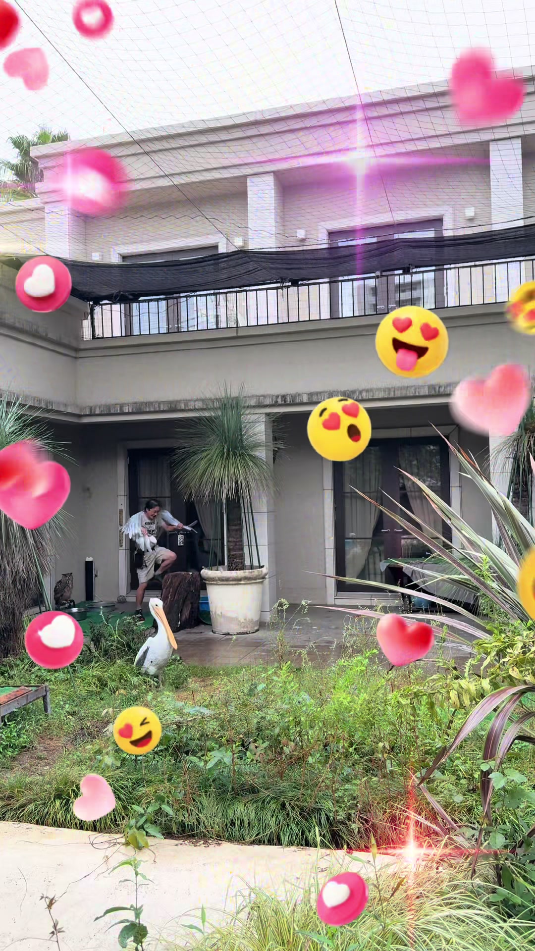 @Kei Tomono
