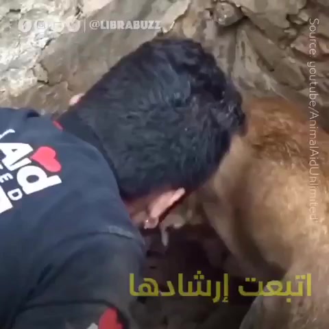 @thamer.alfadel