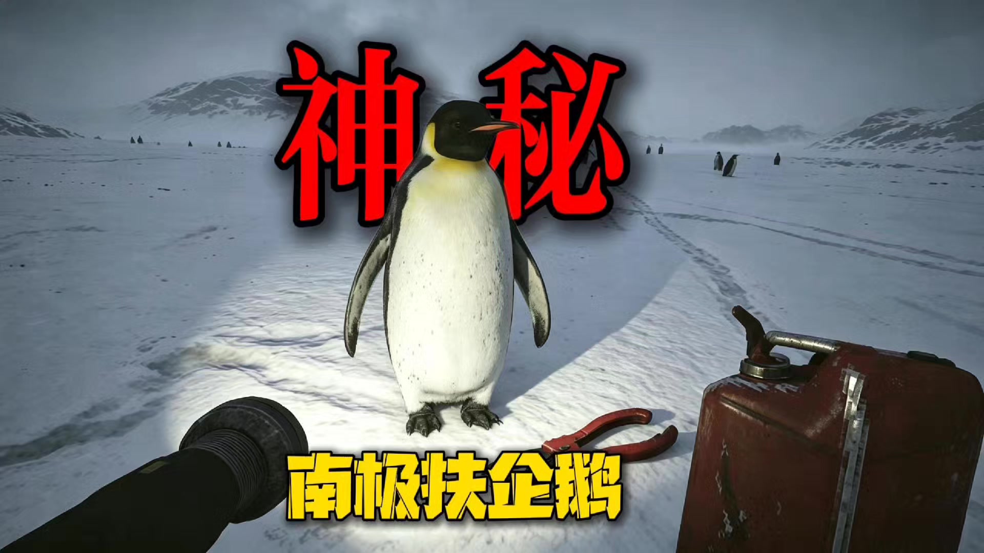 @二狗司令