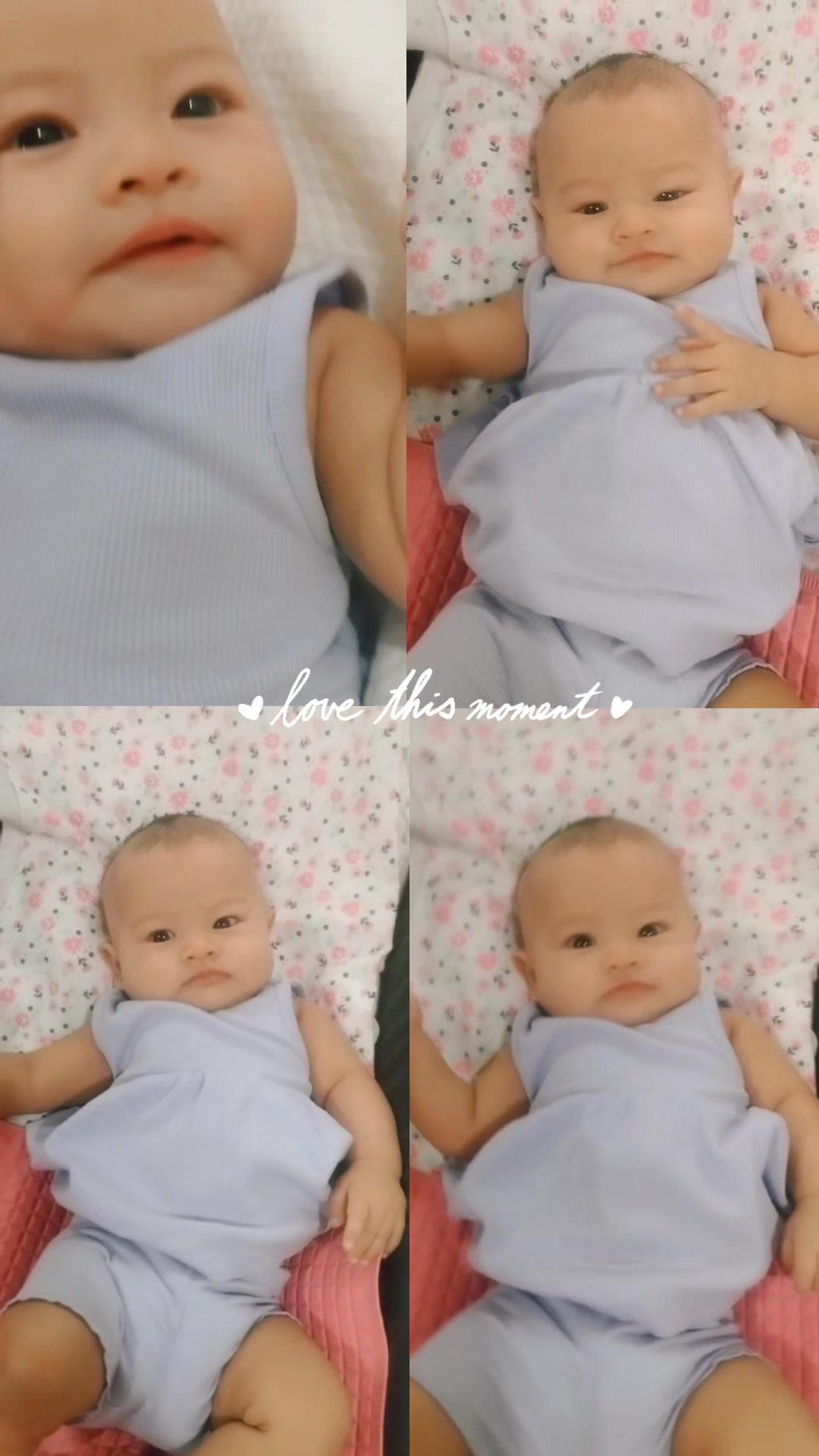 @--๐ฆโ๐ณโ๐ณโ๐ชโ--