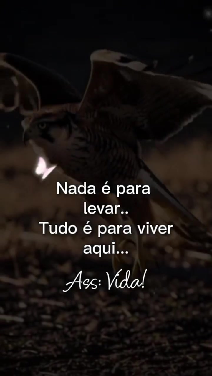 @Eliane Souza