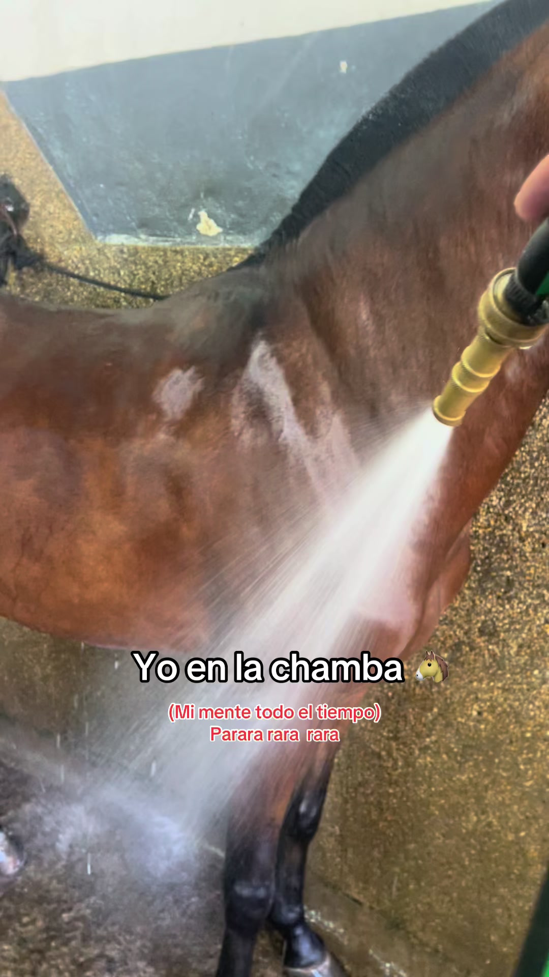@Juan Rodríguez 🐄
