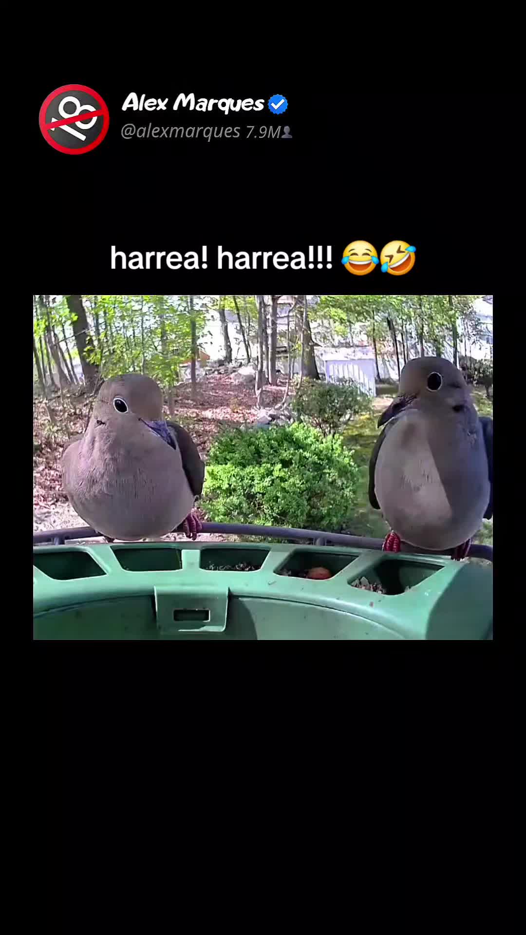 @Alex Marques