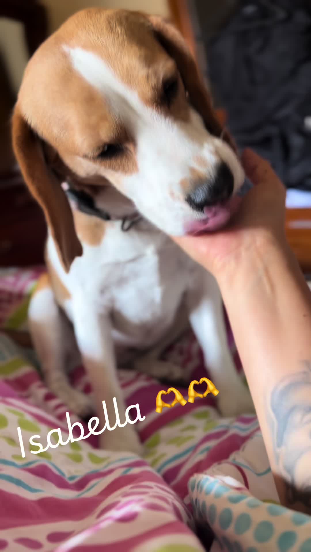 @Ceci Lulita