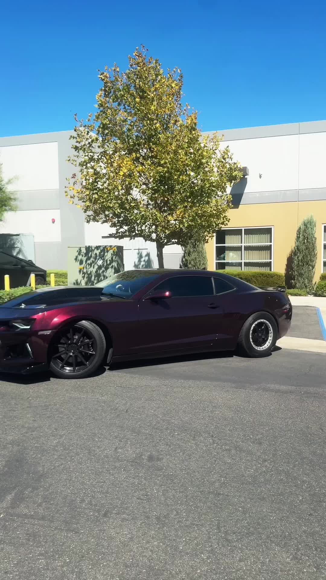 @Miles_6.2