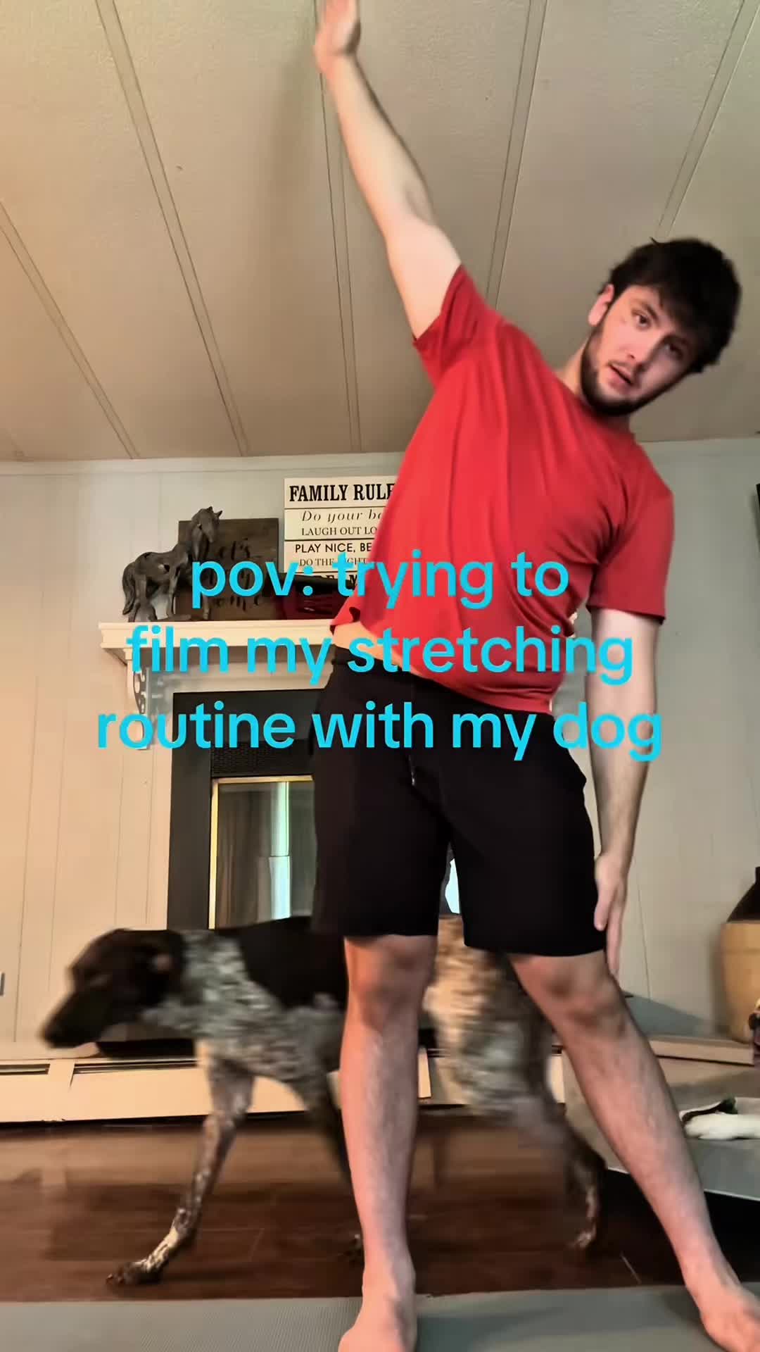 @funnyvideo3782