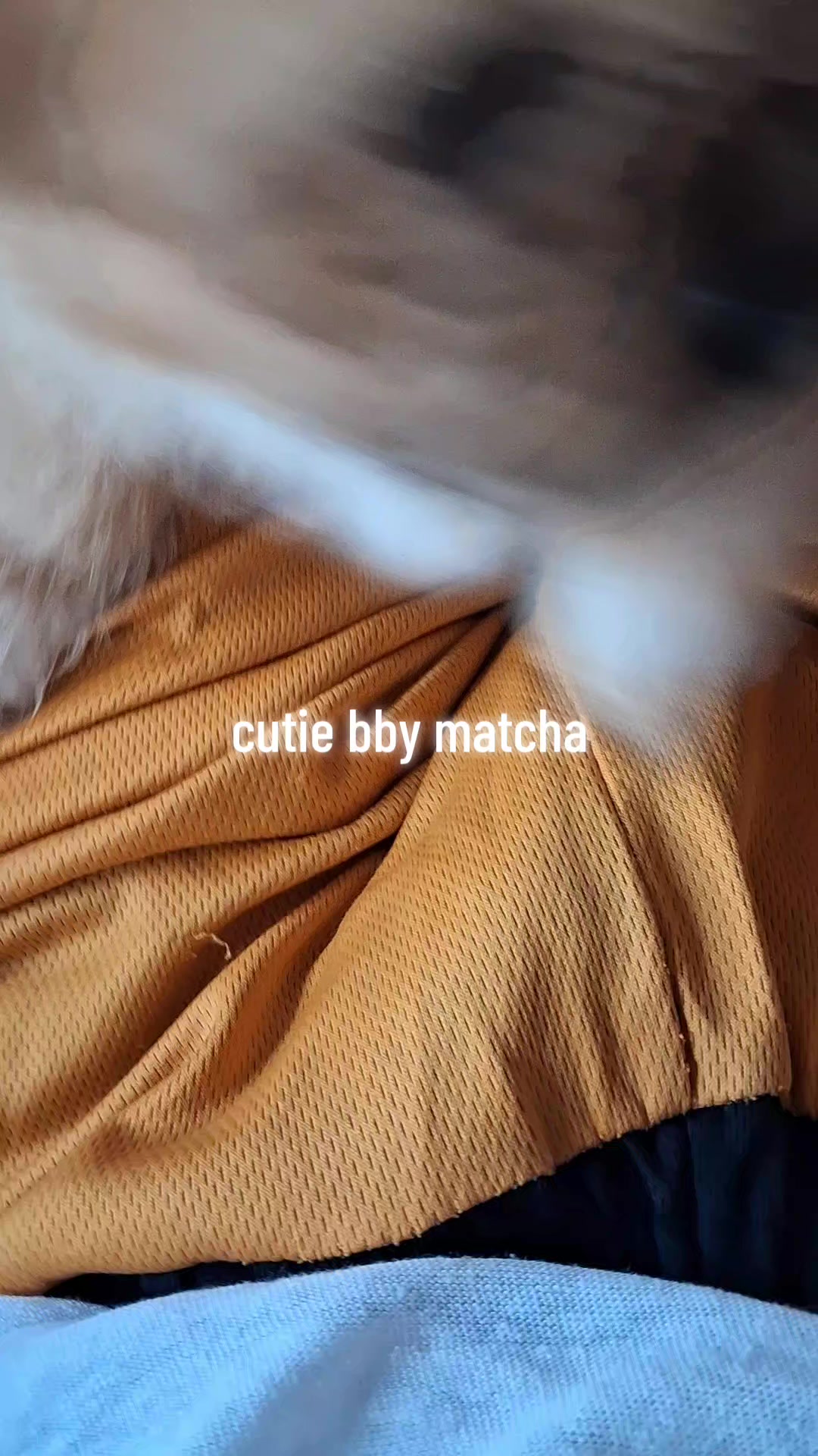 @Dave