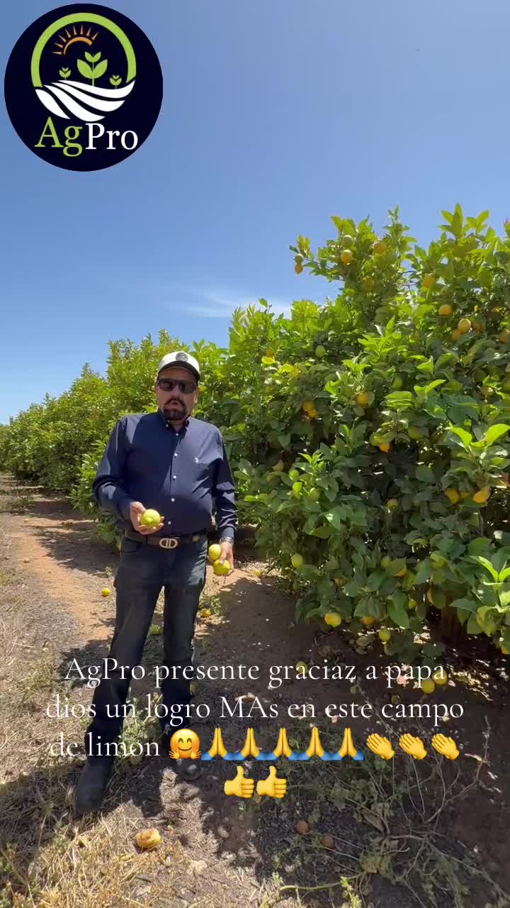 @Piedad Ayala