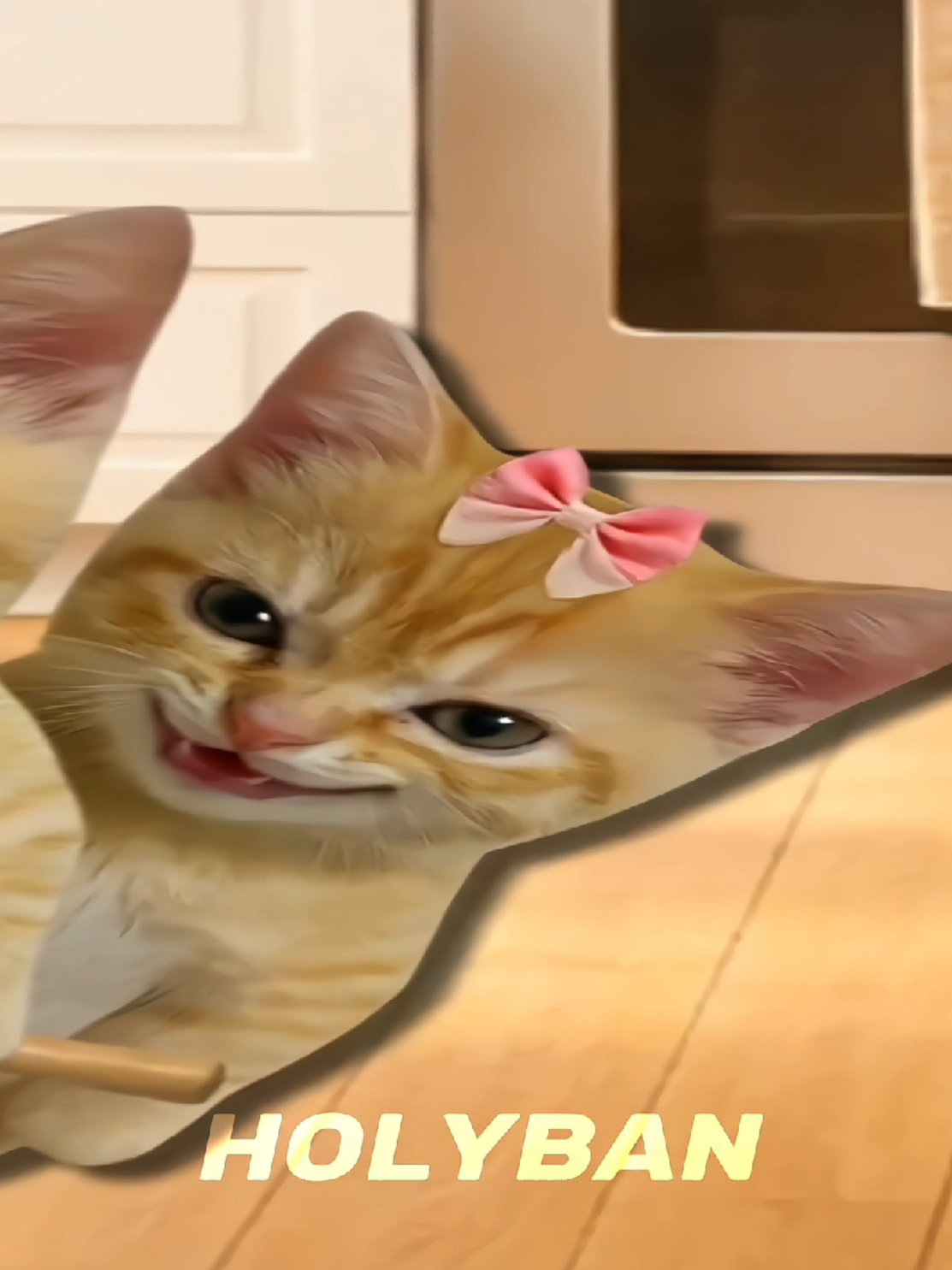 @𝙃𝙊𝙇𝙔𝘽𝘼𝙉