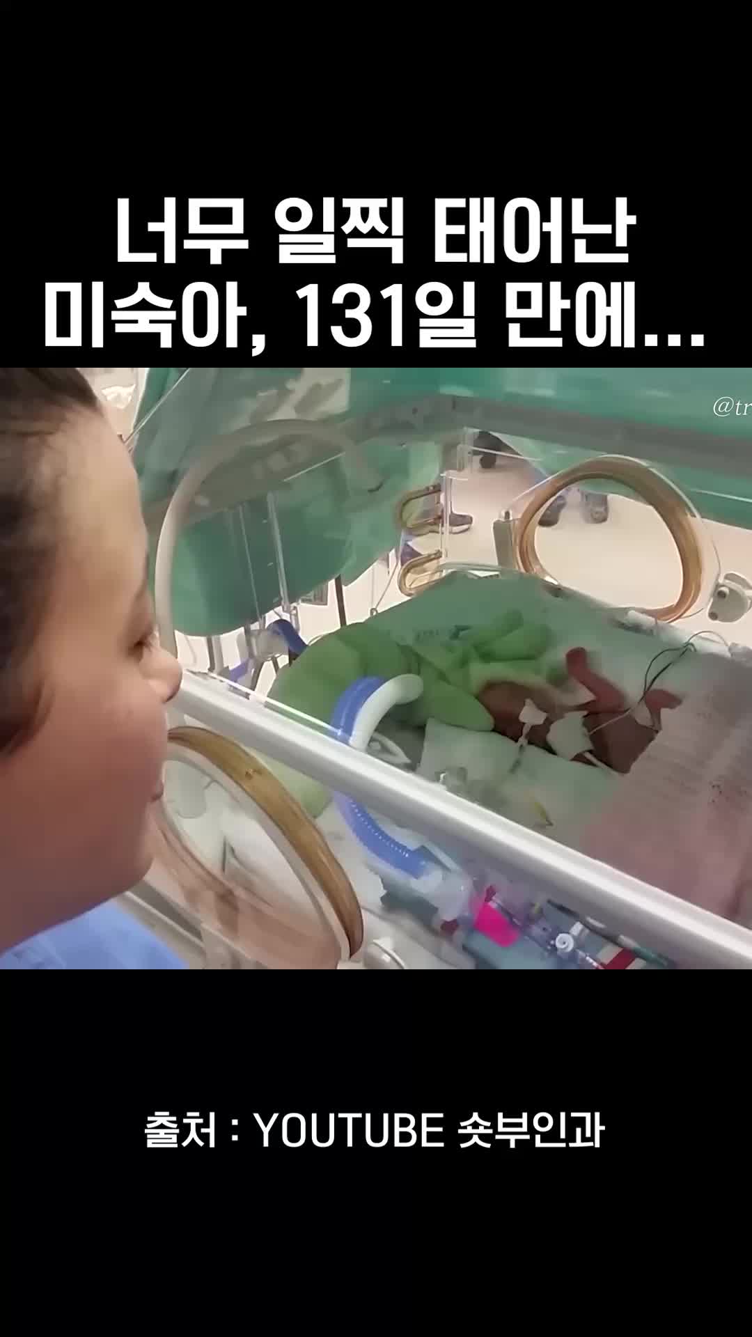 @와이퀸
