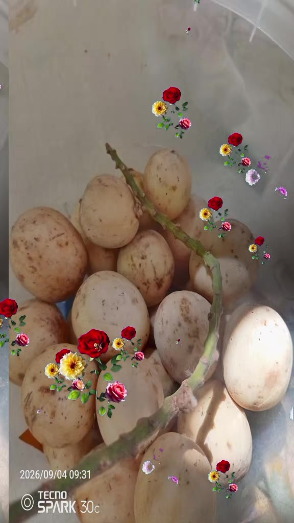 @Robelyn salangta46