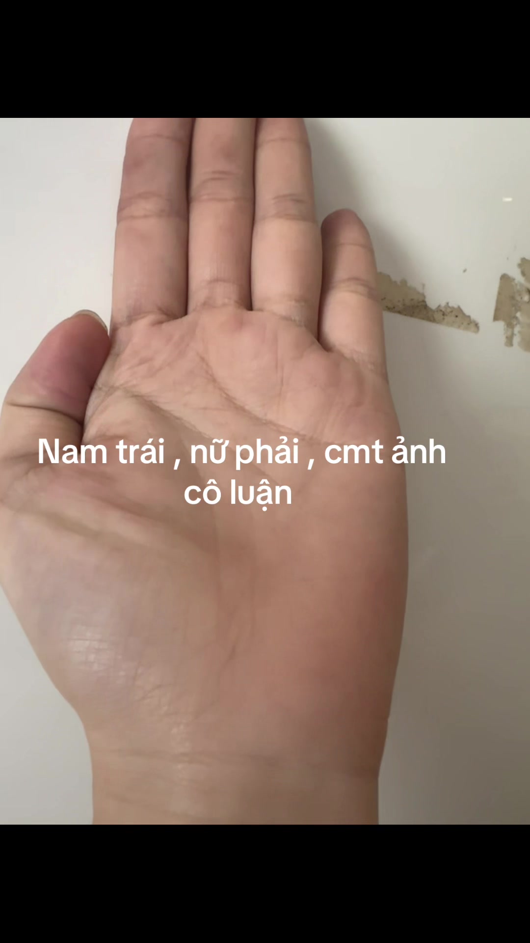 @Xem chỉ tay,tử vi(ph&iacute; tuỳ t&acirc;m)