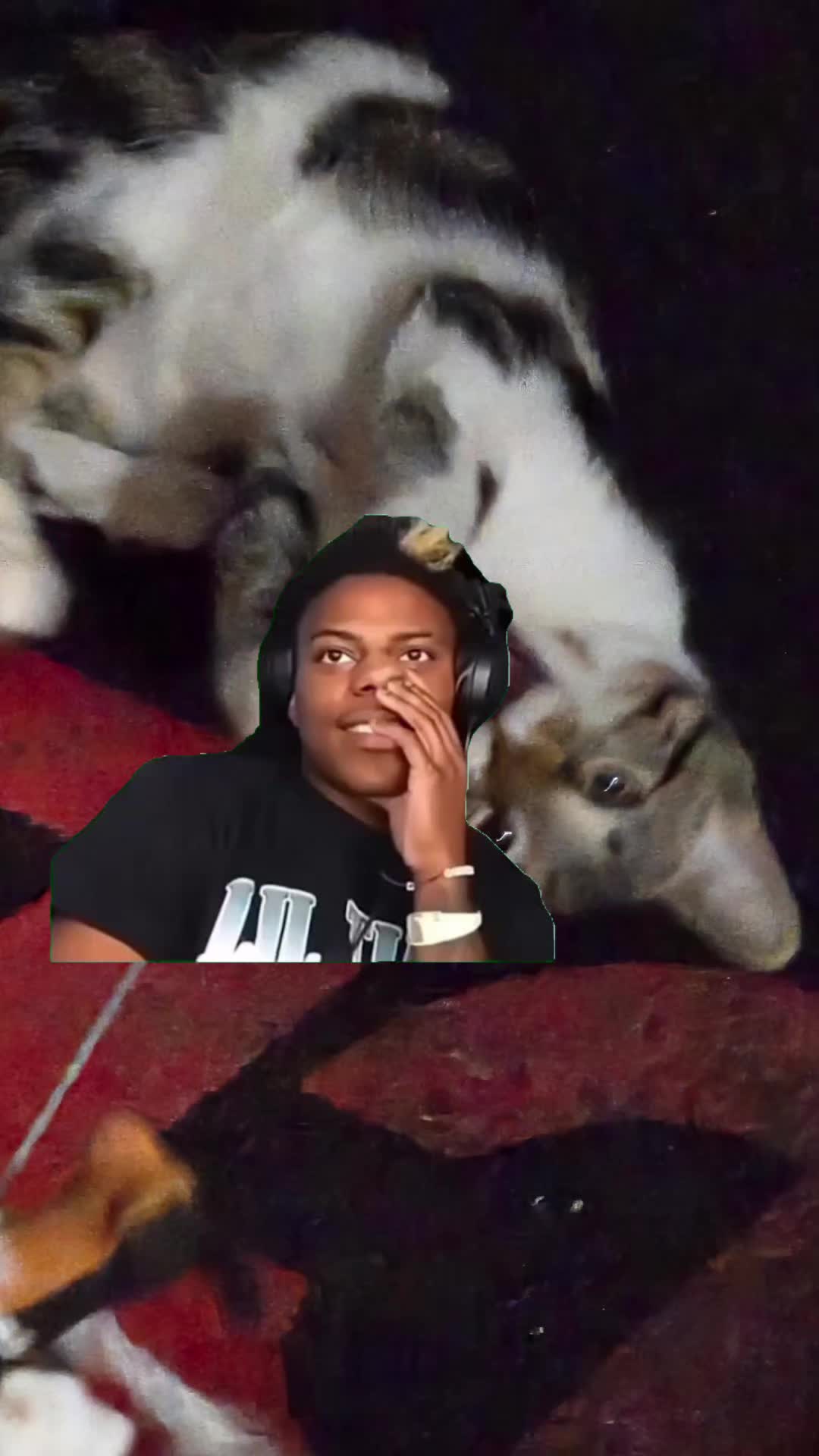 @watersnipe