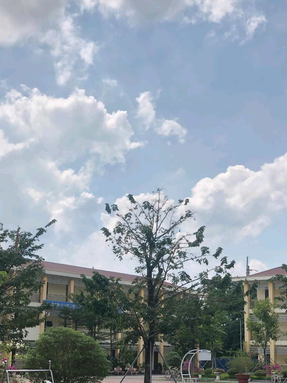 @Li&ecirc;n Đội Trường THCS Nguyễn Du