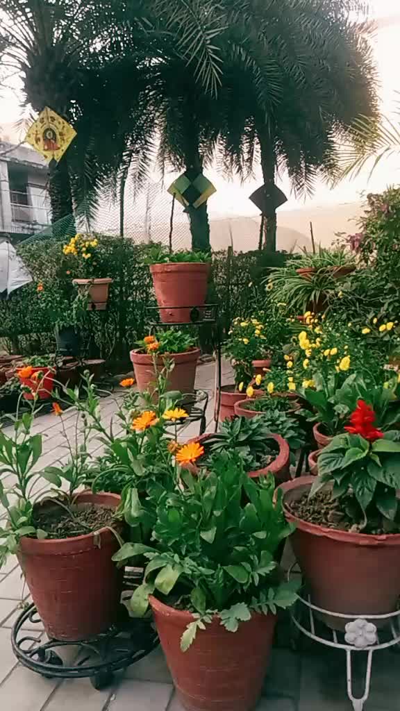 @वीर गोर्खाली