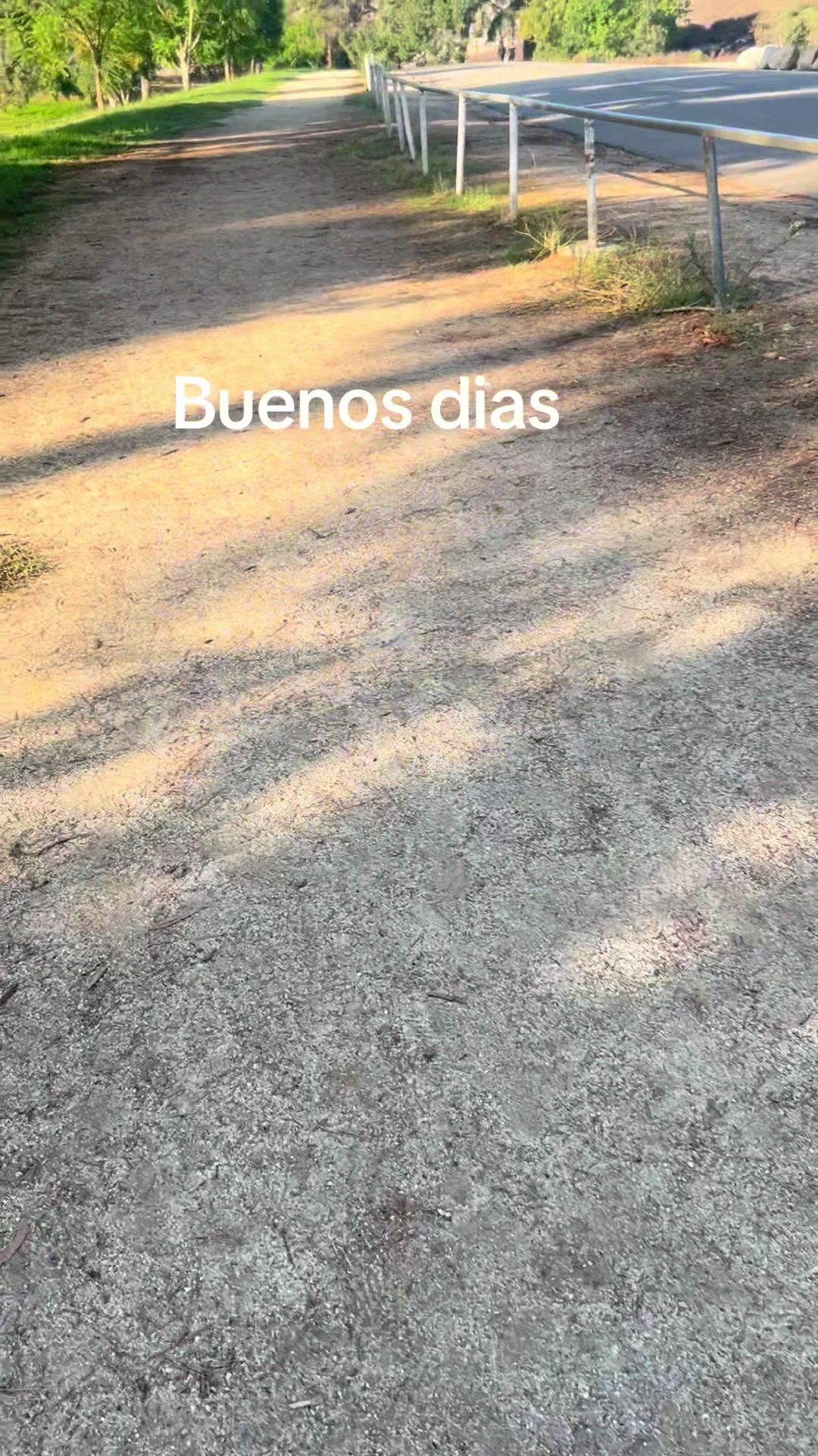 @Cinthya Carrillo