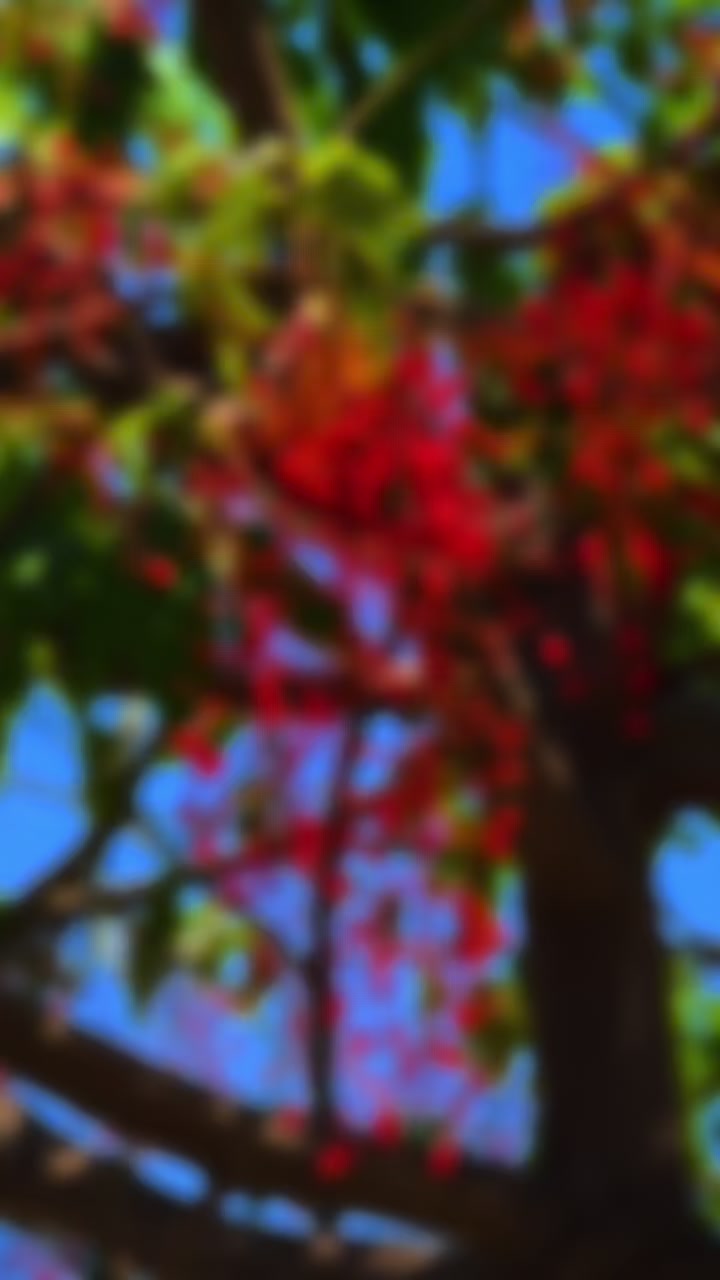 @𝓢𝓪𝓷𝓳𝓮𝓮𝔀𝓪 🇱🇰🇰🇷🇮🇱