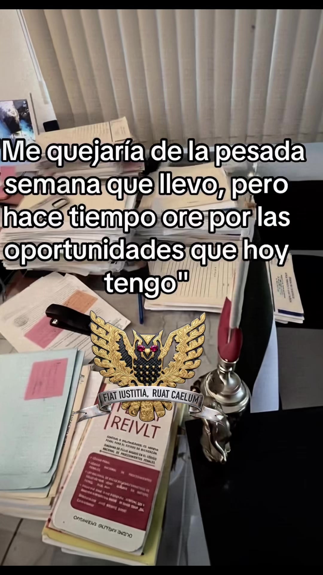 @lawyer