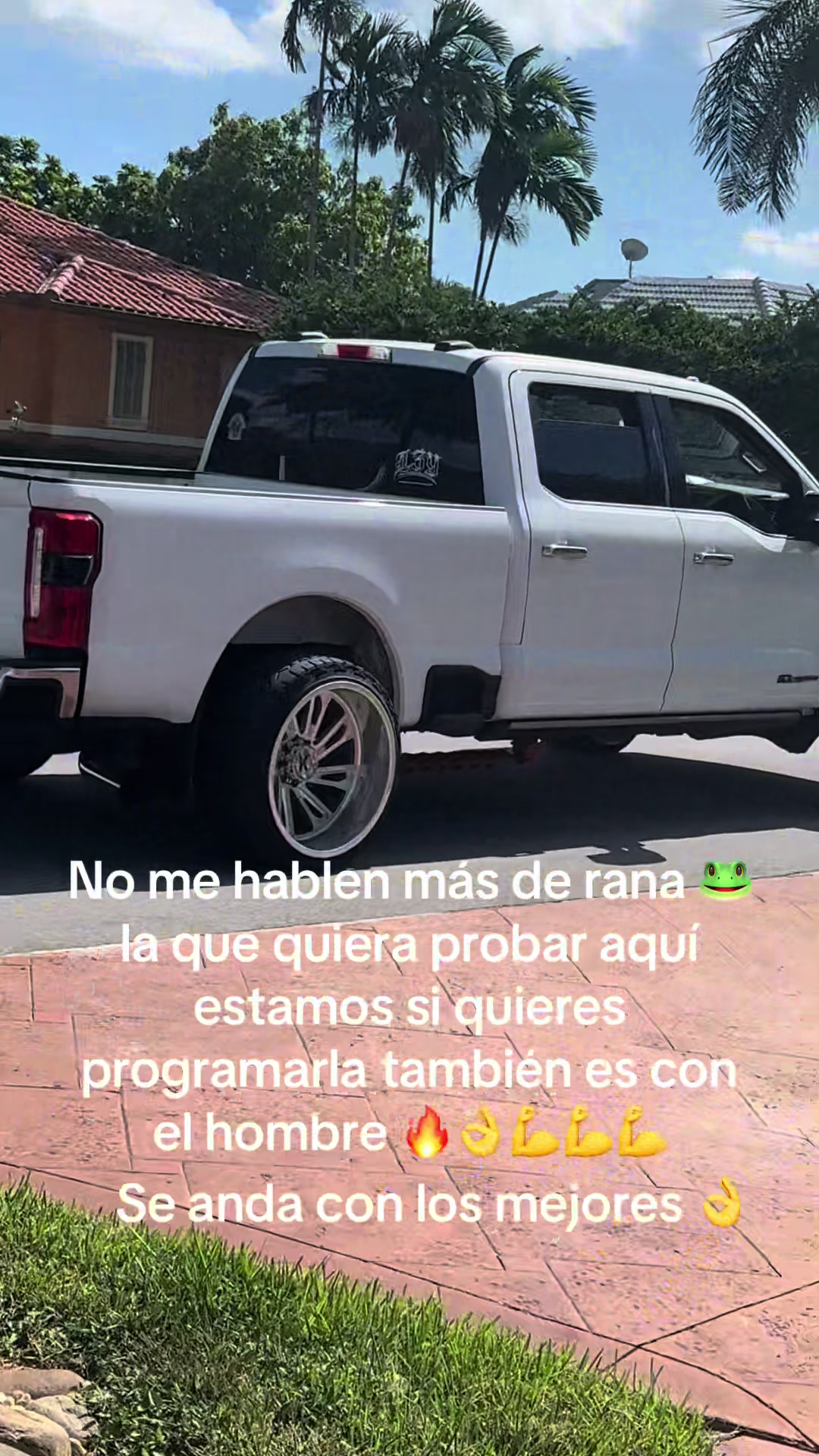 @✌️El papá de los cachorros 🐶