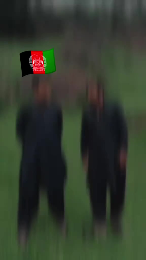 @Shah Zeb