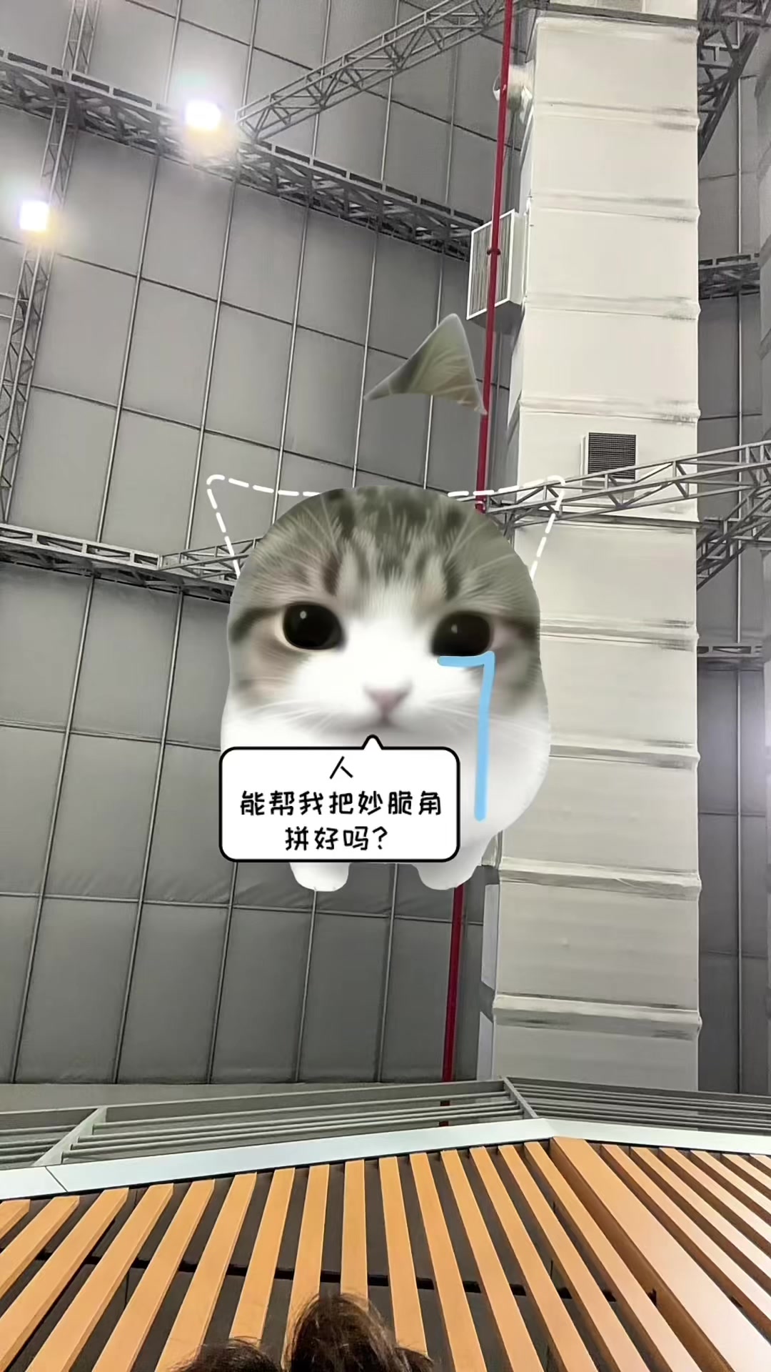 @Việt Hùng