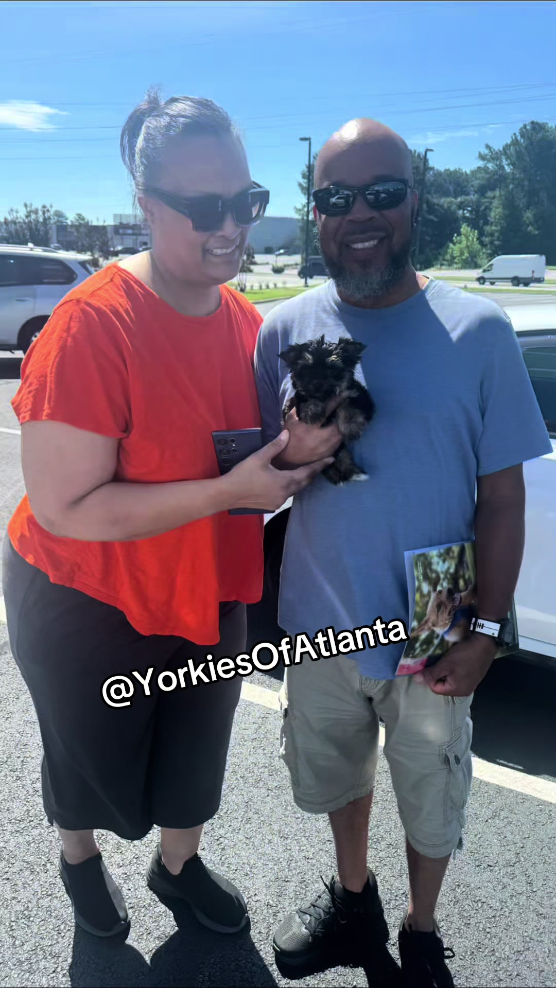 @Yorkies Of Atlanta
