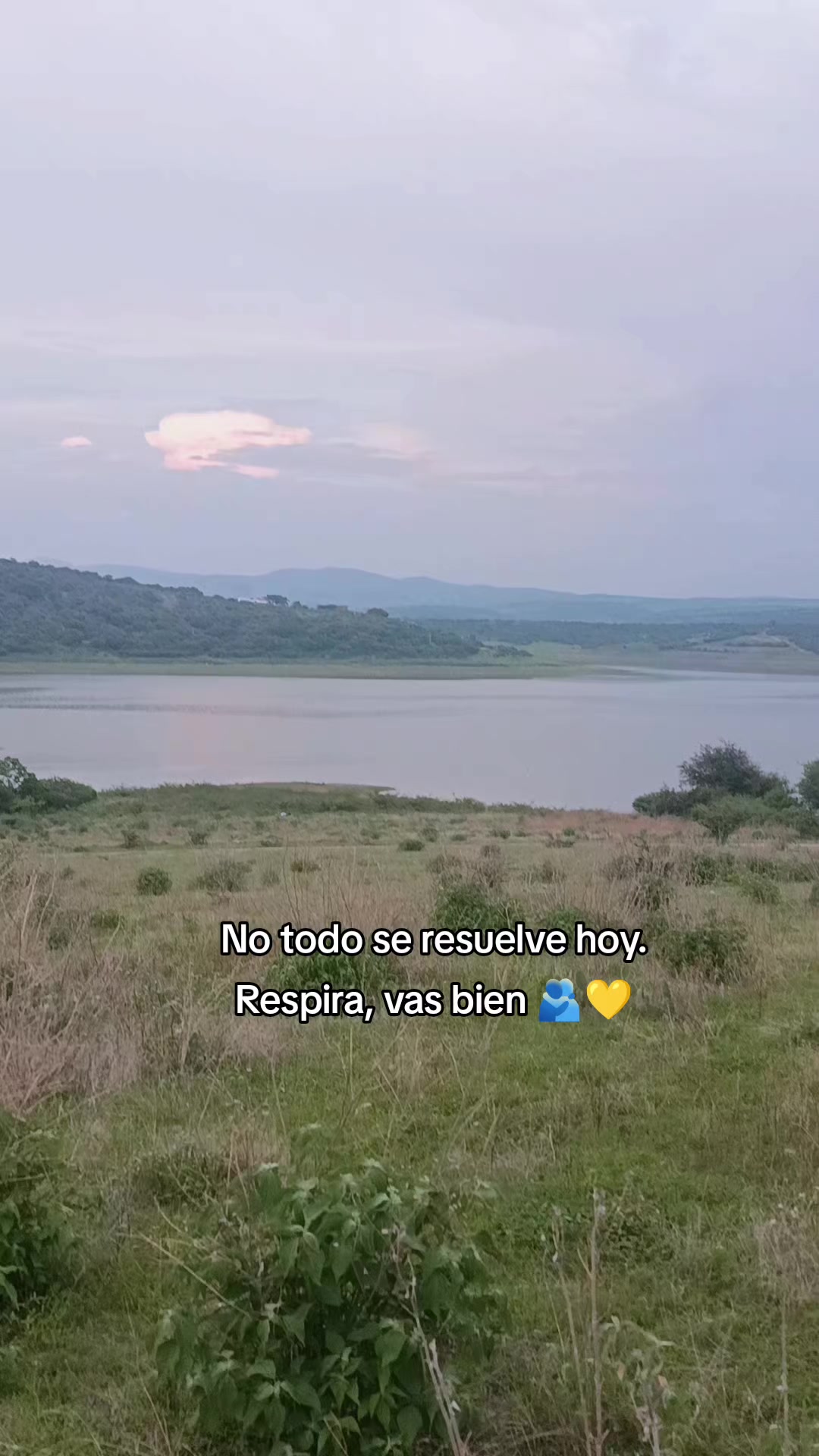 @Elena Patlan