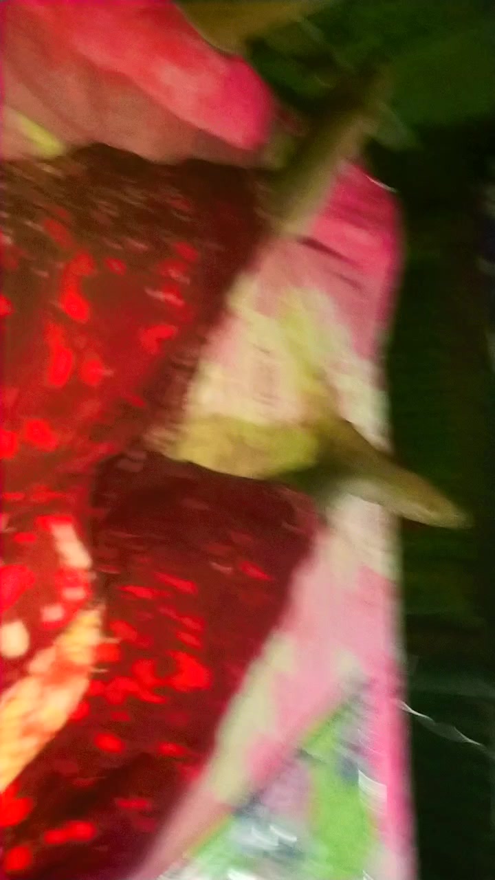 @â¡ðšððð ððððððð¯